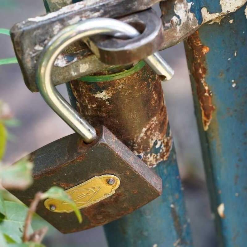 Uważaj na złodziei na ogródkach działkowych – policja apeluje o ostrożność jesienią